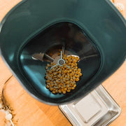 საჭმლის დისპენსერი Comedero Pumba 6000 Purrfect Meal Smart