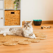 წყლის ფანტანი ცხოველებისთვის Bebedero Pumba 2200 Refresh