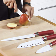 დანების ნაკრები Set 4 cuchillos santoku con recubrimiento ceramico
