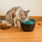 წყლის ფანტანი ცხოველებისთვის Bebedero Pumba 2200 Refresh